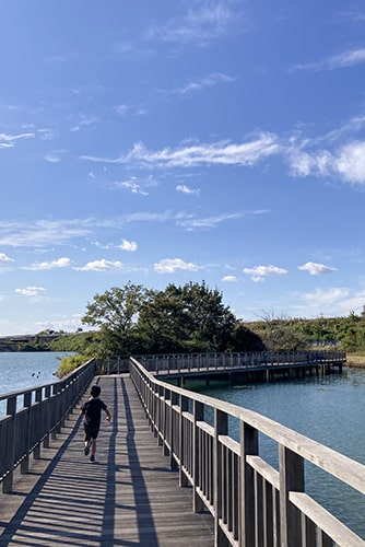 中島池のイメージ