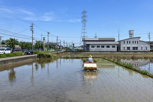 田植えのイメージ